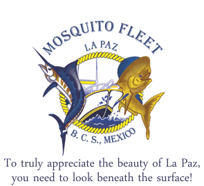 Baja Mosquito Fleet