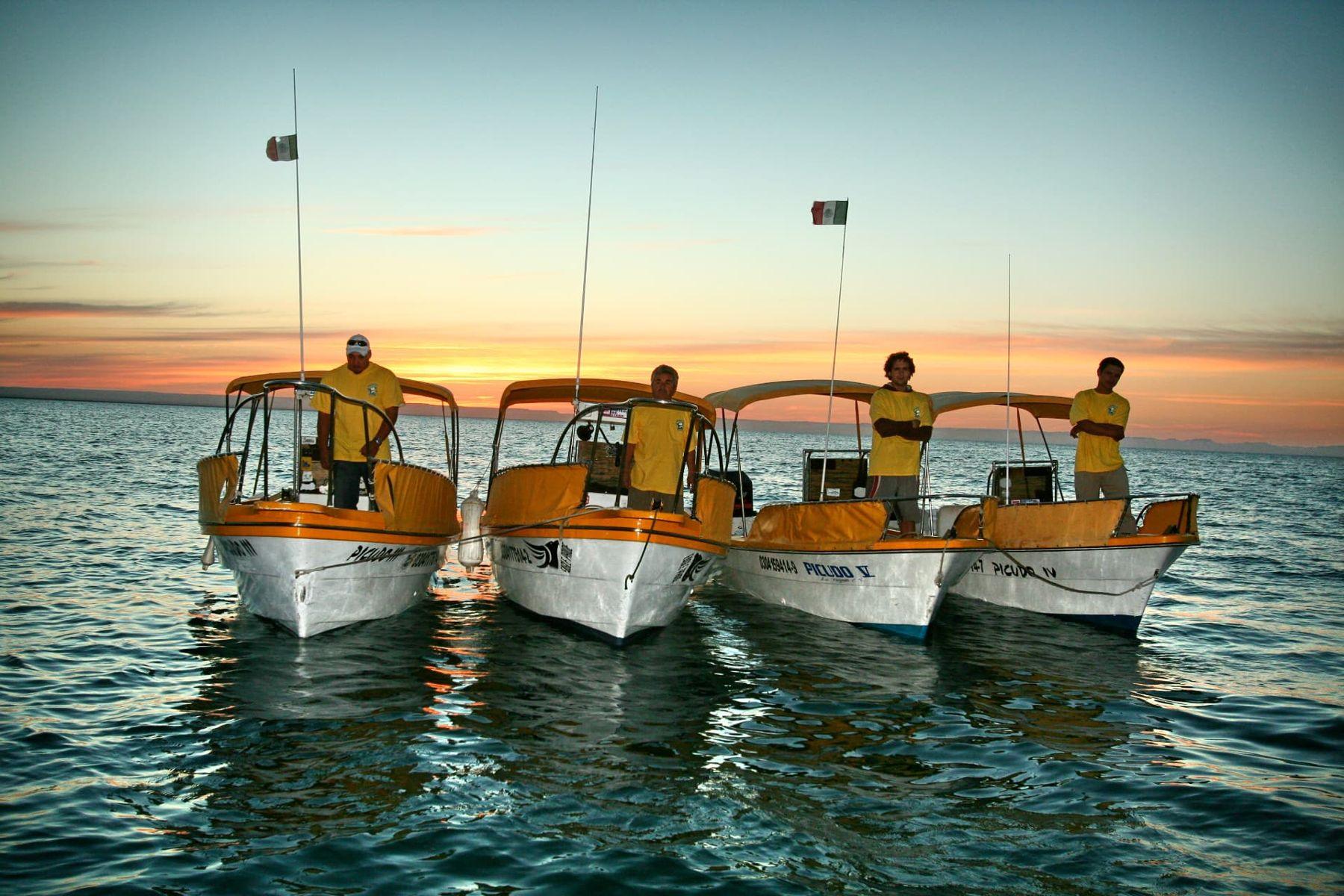 The Baja Mosquito Fleet pangas lined up at sunset in La Paz, Baja California Sur