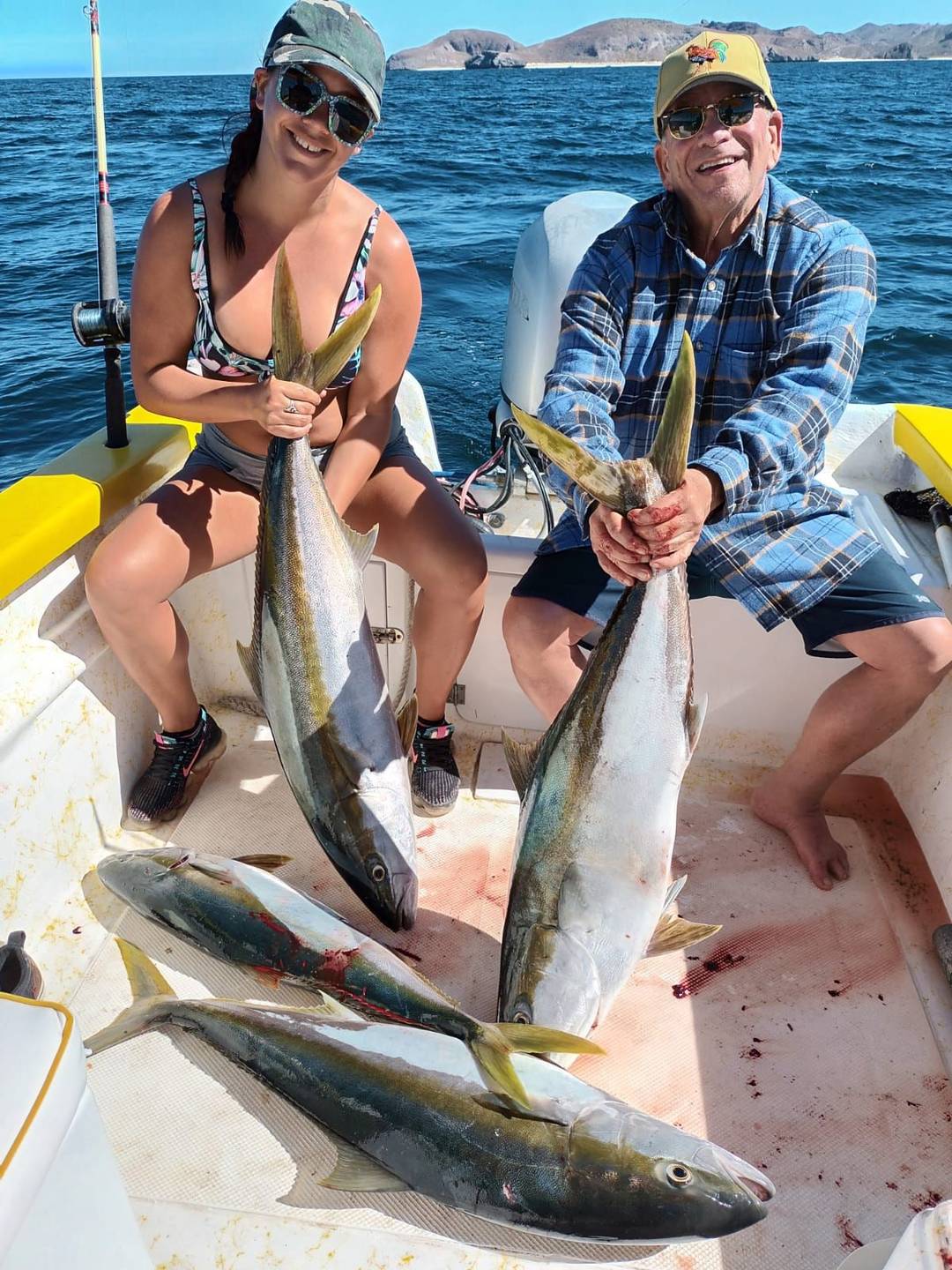 Yellowtail caught in La Paz, Mexico