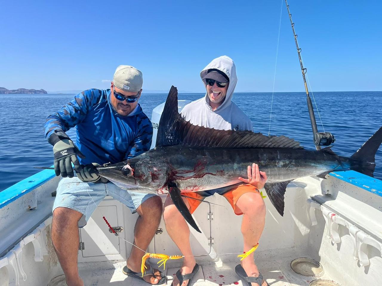 Striped Marlin caught in La Paz, Mexico