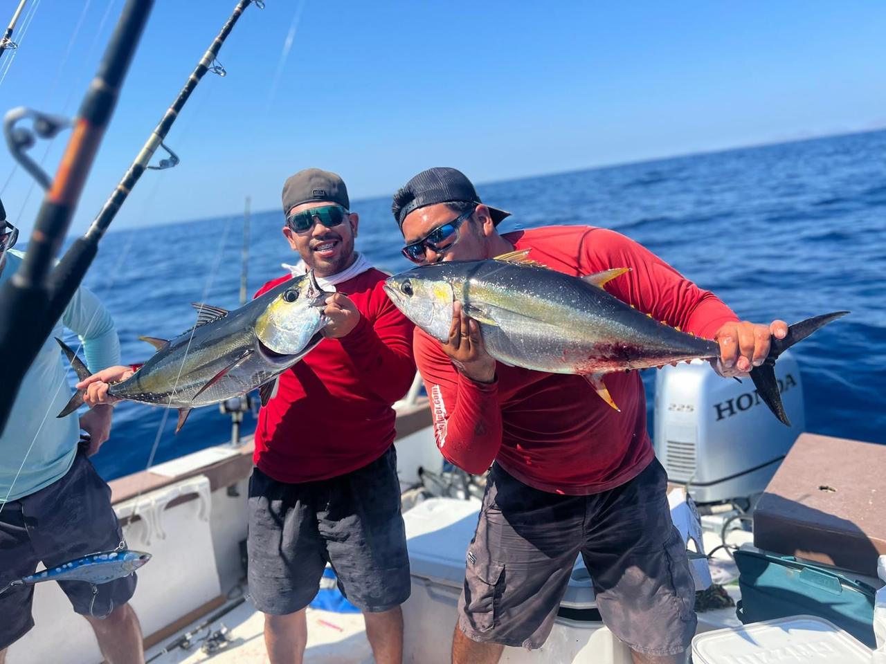 Yellowfin Tuna caught in La Paz, Mexico