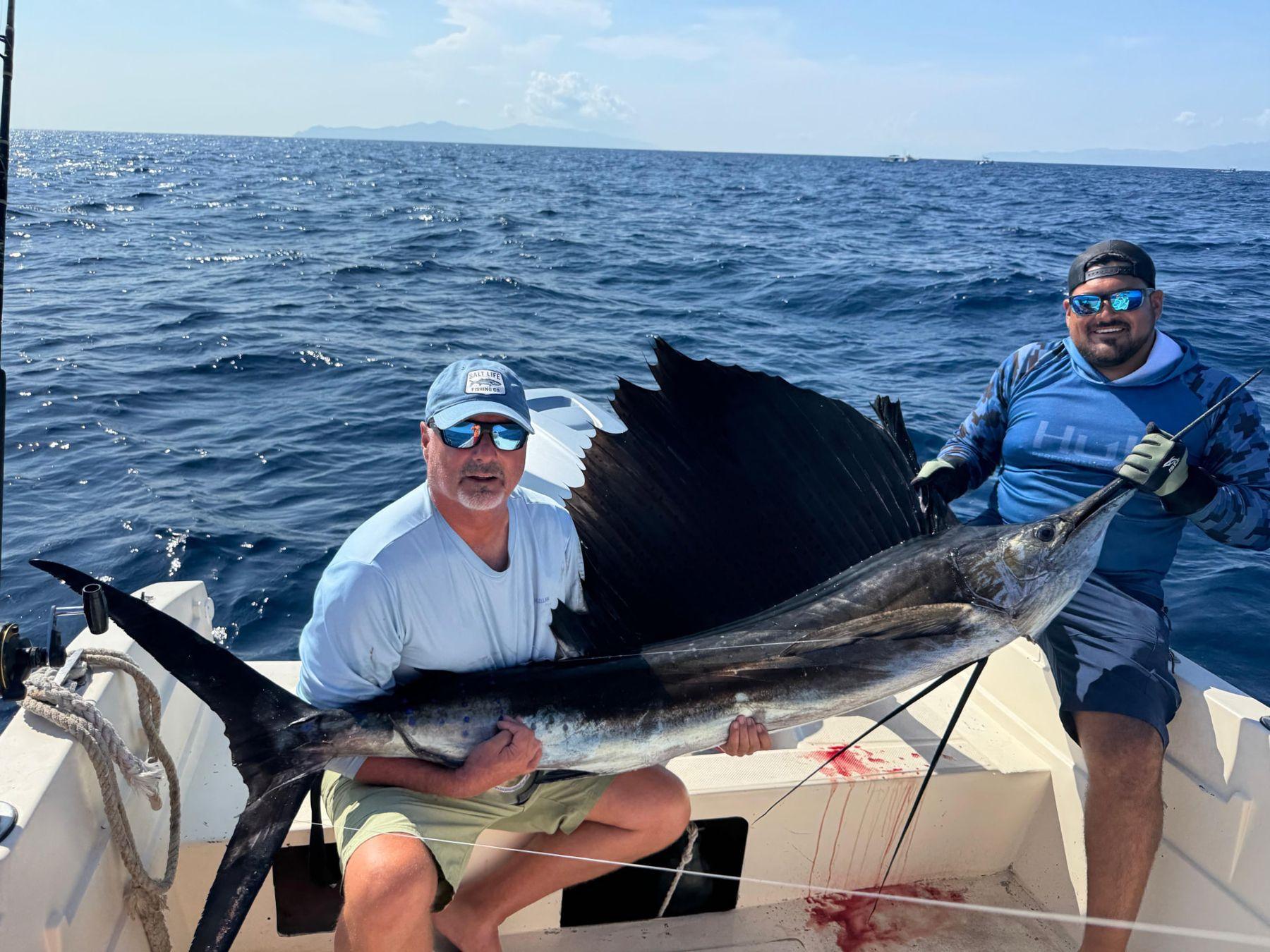 Sailfish held before release in La Paz