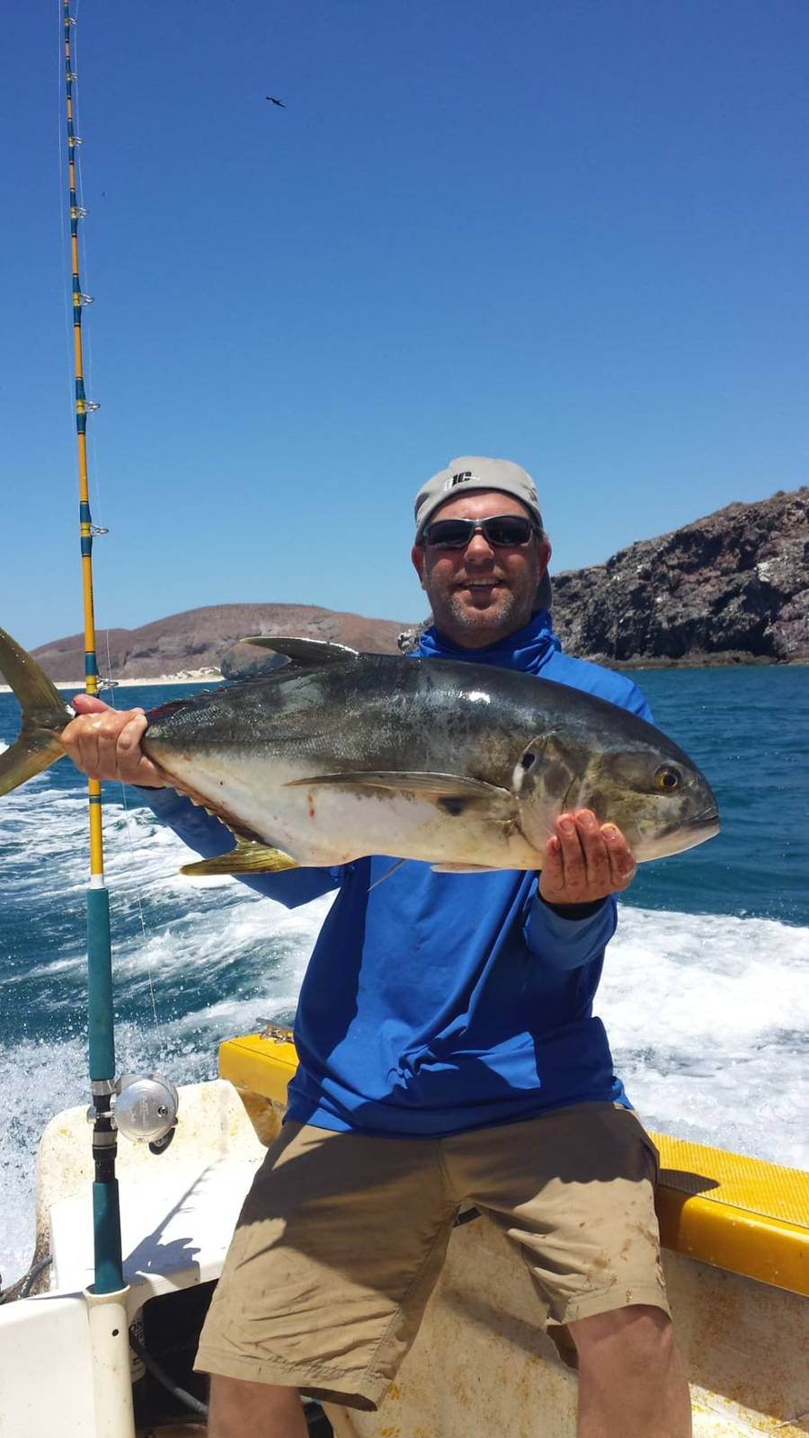 Roosterfish caught in La Paz, Mexico